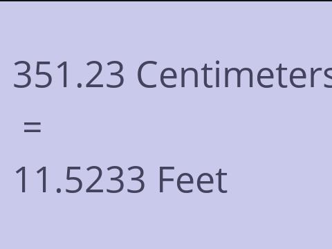 351.23 CM TO FEET