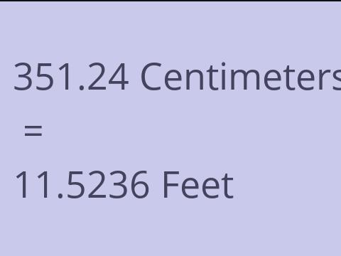 351.24 CM TO FEET