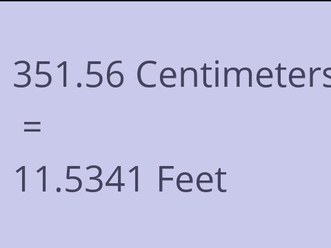 351.56 CM TO FEET