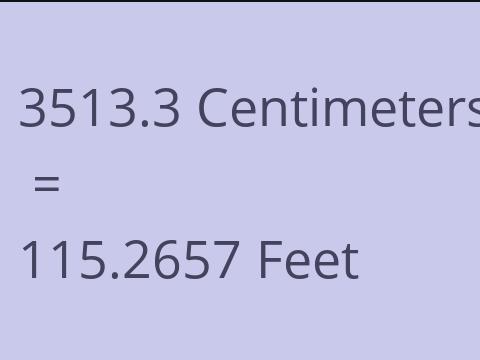 3513.3 CM TO FEET