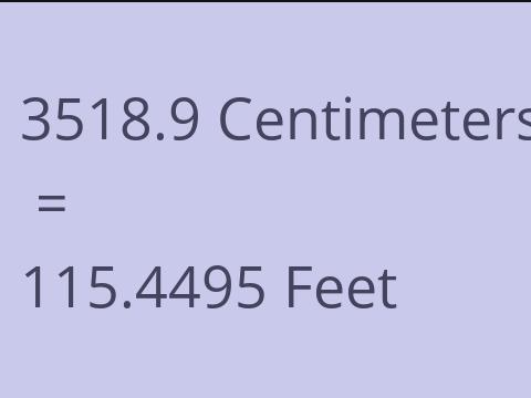 3518.9 CM TO FEET