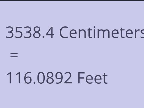 3538.4 CM TO FEET