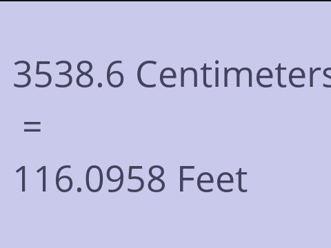 3538.6 CM TO FEET