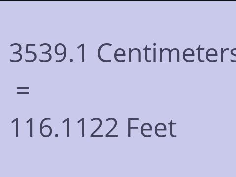 3539.1 CM TO FEET