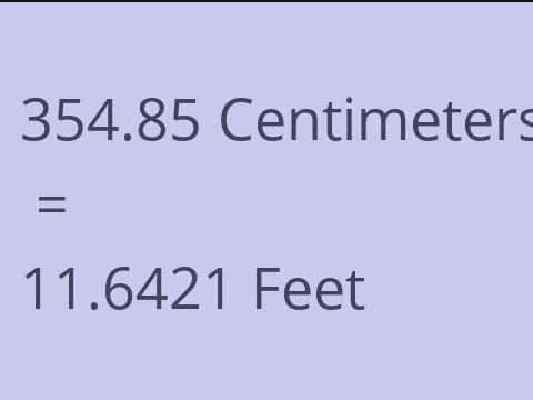 354.85 CM TO FEET