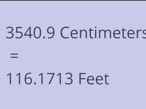 3540.9 CM TO FEET
