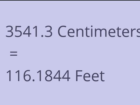 3541.3 CM TO FEET