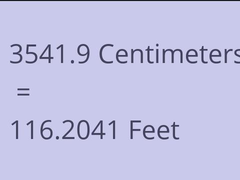 3541.9 CM TO FEET