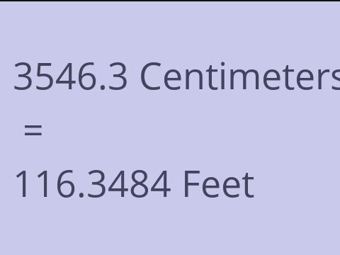 3546.3 CM TO FEET