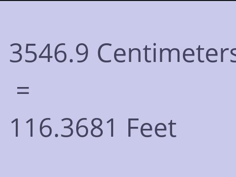 3546.9 CM TO FEET