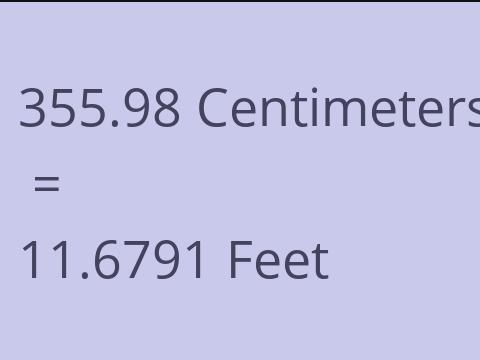 355.98 CM TO FEET