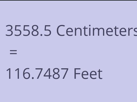 3558.5 CM TO FEET
