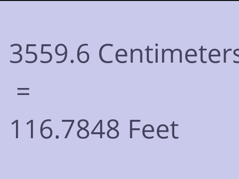 3559.6 CM TO FEET