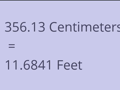 356.13 CM TO FEET