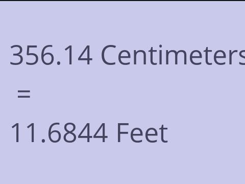 356.14 CM TO FEET