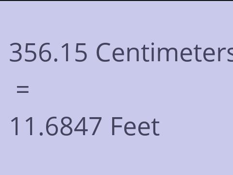 356.15 CM TO FEET