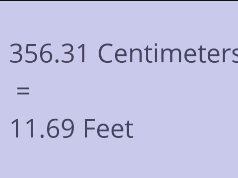 356.31 CM TO FEET