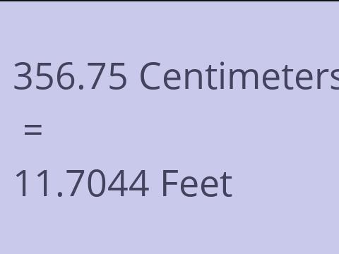 356.75 CM TO FEET