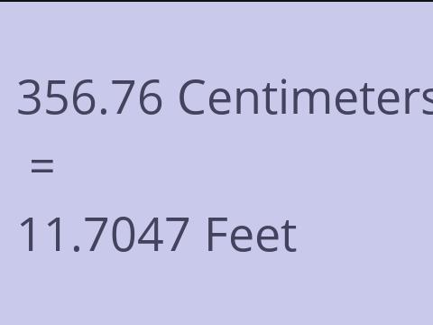 356.76 CM TO FEET