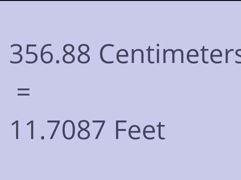 356.88 CM TO FEET