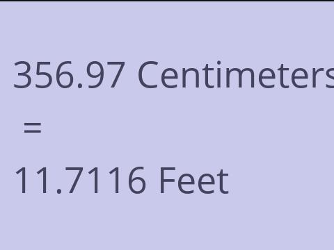 356.97 CM TO FEET