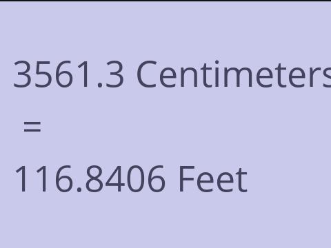 3561.3 CM TO FEET