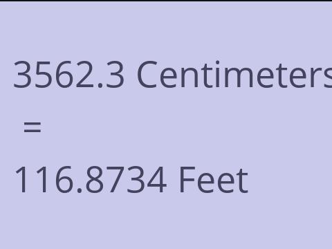 3562.3 CM TO FEET