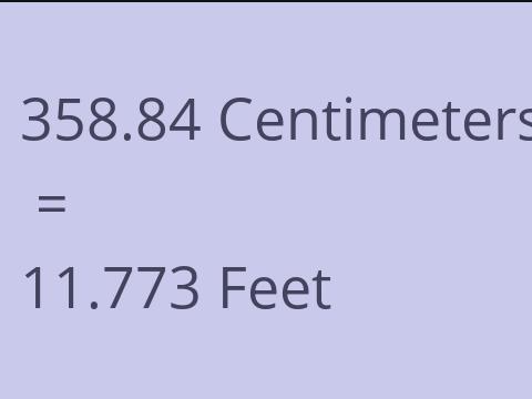 358.84 CM TO FEET