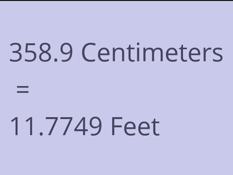 358.9 CM TO FEET