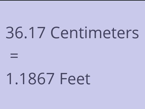 36.17 CM TO FEET