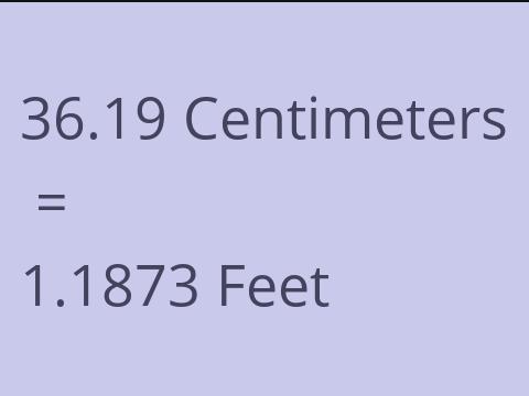 36.19 CM TO FEET