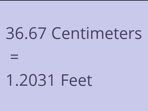 36.67 CM TO FEET