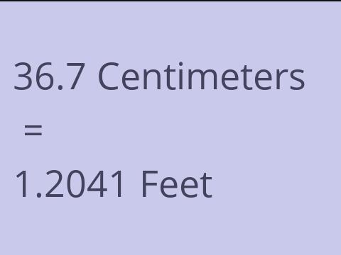 36.7 CM TO FEET