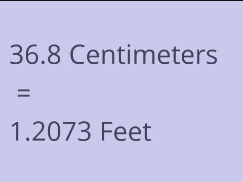 36.8 CM TO FEET