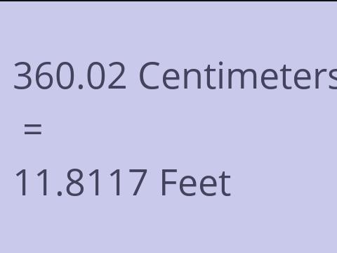 360.02 CM TO FEET