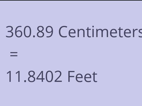 360.89 CM TO FEET