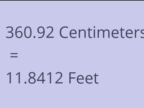 360.92 CM TO FEET