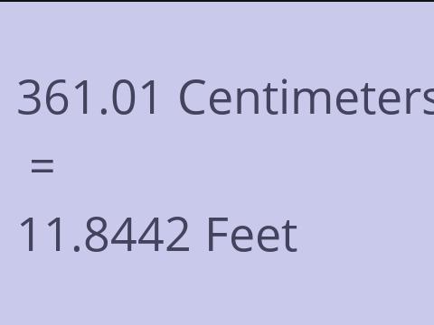 361.01 CM TO FEET