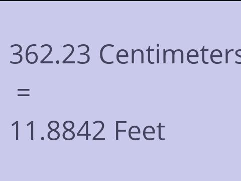 362.23 CM TO FEET