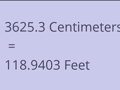 3625.3 CM TO FEET