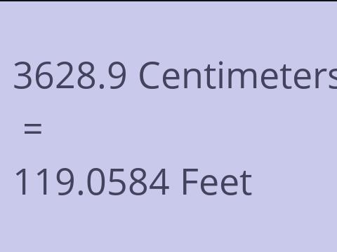 3628.9 CM TO FEET