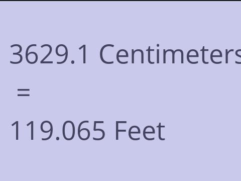 3629.1 CM TO FEET