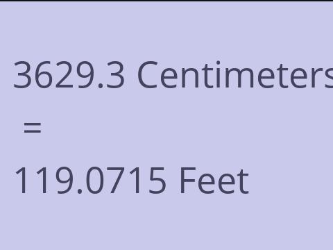 3629.3 CM TO FEET