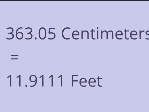 363.05 CM TO FEET