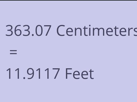 363.07 CM TO FEET