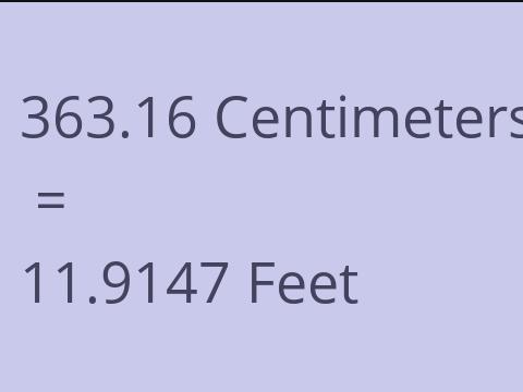 363.16 CM TO FEET