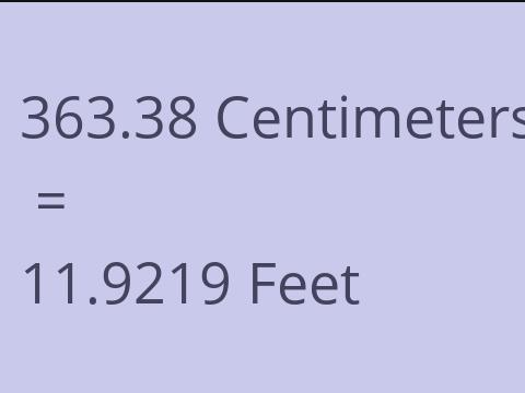 363.38 CM TO FEET