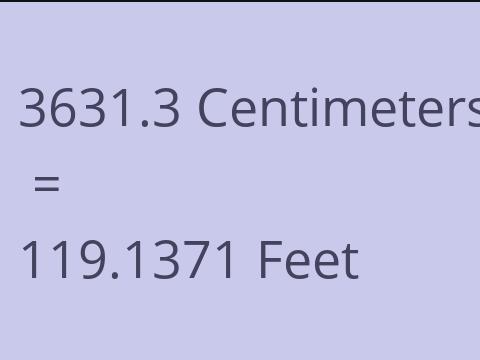 3631.3 CM TO FEET