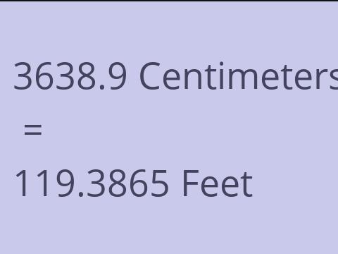 3638.9 CM TO FEET
