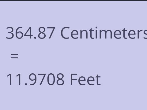 364.87 CM TO FEET